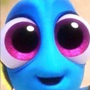 Meet your Posher, Julia